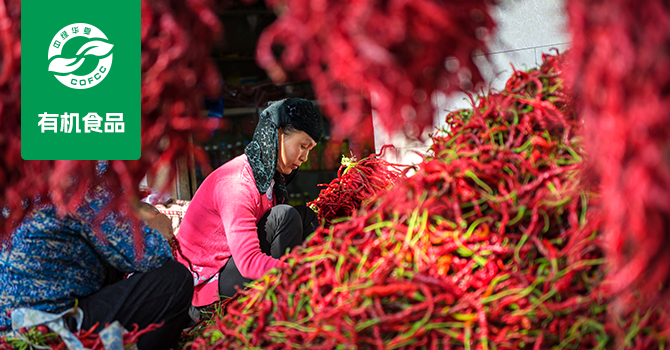 世界杯投注官网