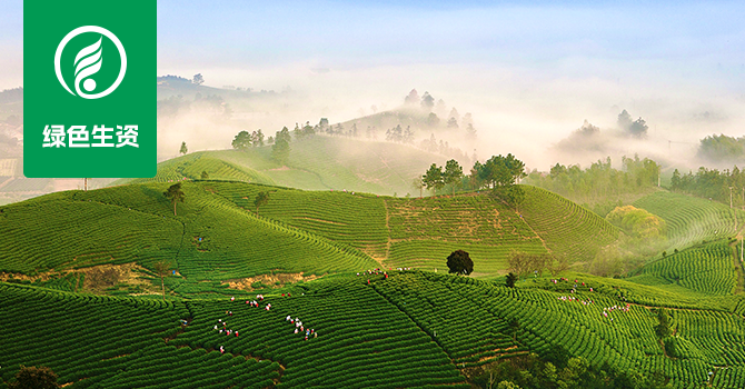 世界杯投注官网